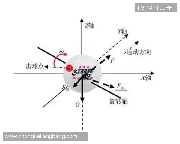 杭州乒乓球队在联赛中的强势表现与战术分析探讨